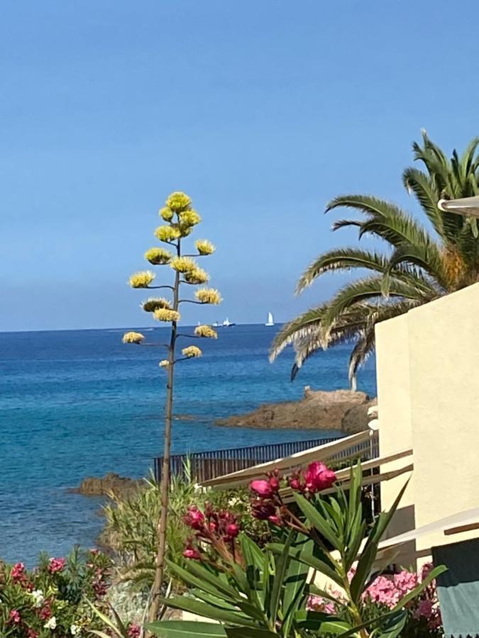 Ajaccio *